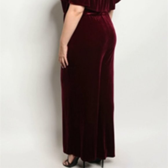Beautiful Velvet Jumpsuit - Picture 4 of 4